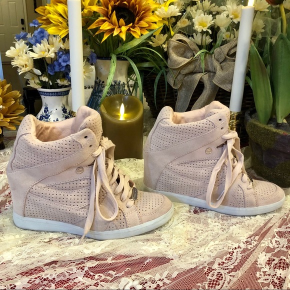 COACH HIGHTOPS - Picture 4 of 5